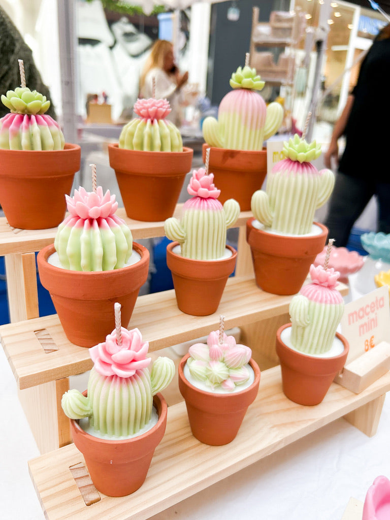 Cactus de cera | 🪴🌵🌷