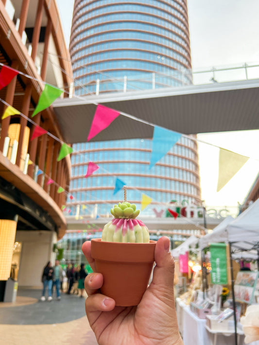 Cactus de cera | Tamaño pequeño 🪴🌵🌷